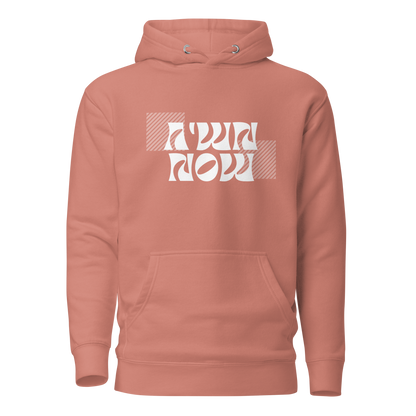 Moshiach Now Hoodie Unisex