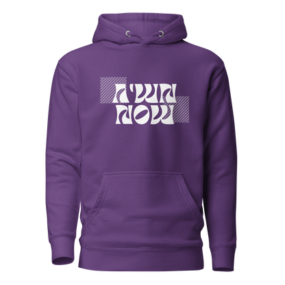 Moshiach Now Hoodie Unisex